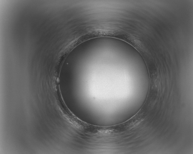 X0000059840450200511041817