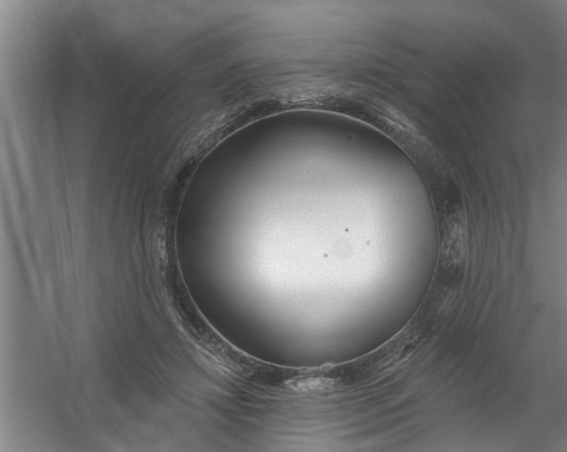 X0000059840452200511041817