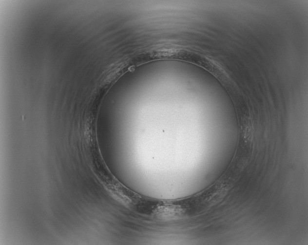 X0000059840455200511041817