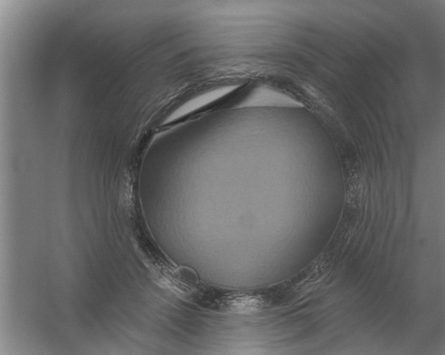 X0000059840456200511041817