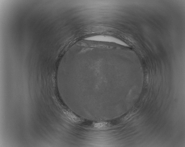 X0000059840461200511041818