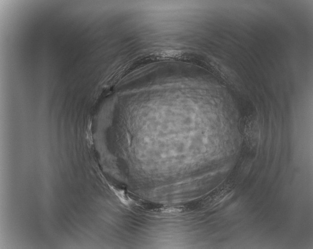 X0000059840462200511041818