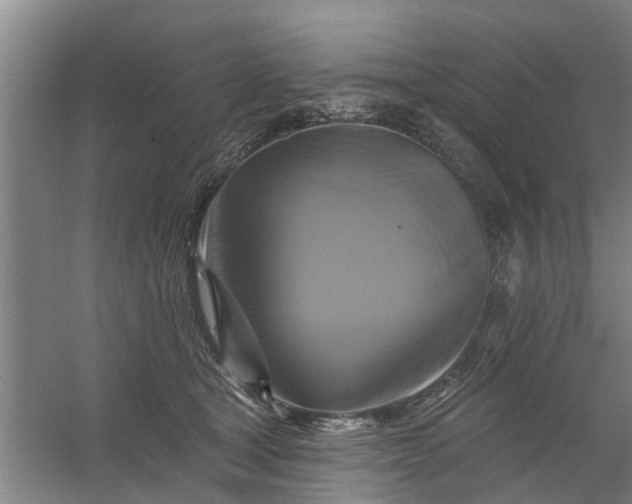 X0000059840465200511041818