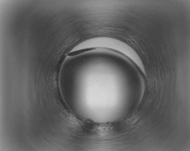 X0000059840466200511041818