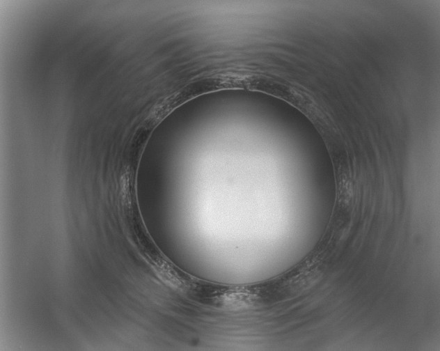 X0000059840468200511041818