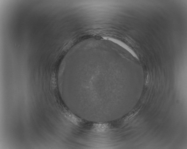 X0000059840469200511041818