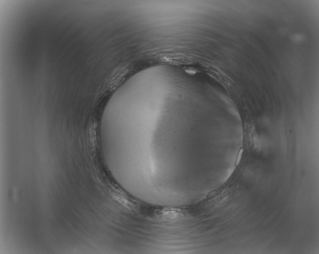 X0000059840475200511041818