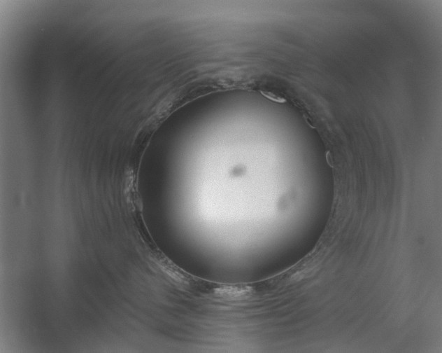 X0000059840480200511041818