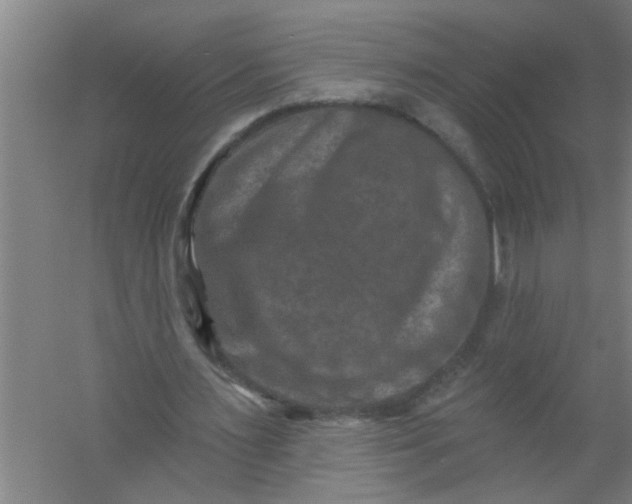 X0000059840483200511041817