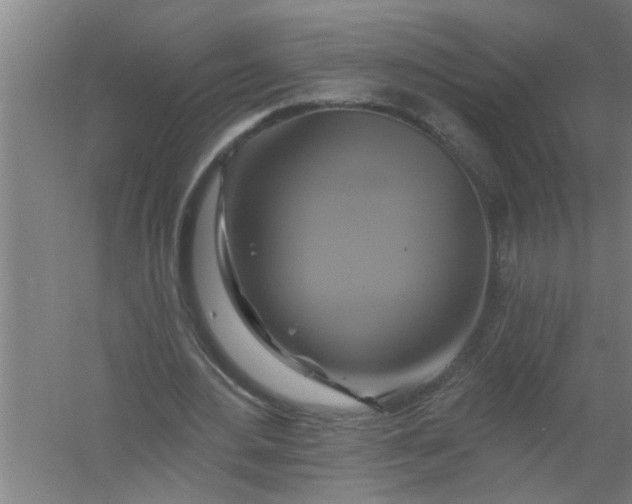 X0000059840484200511041817