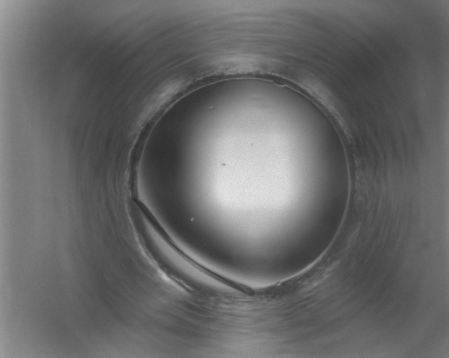 X0000059840485200511041817