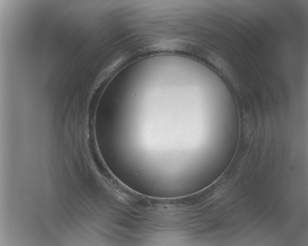 X0000059840486200511041817