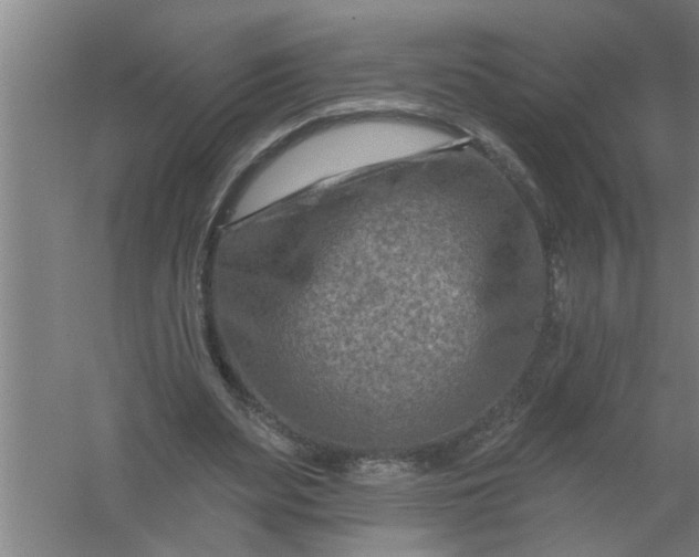 X0000059840487200511041817