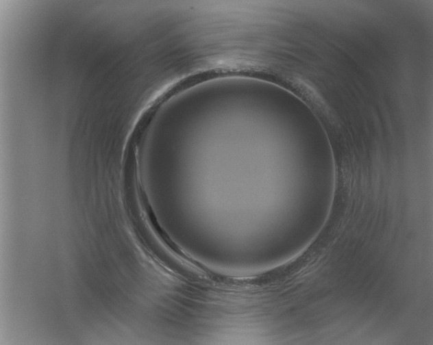 X0000059840488200511041817