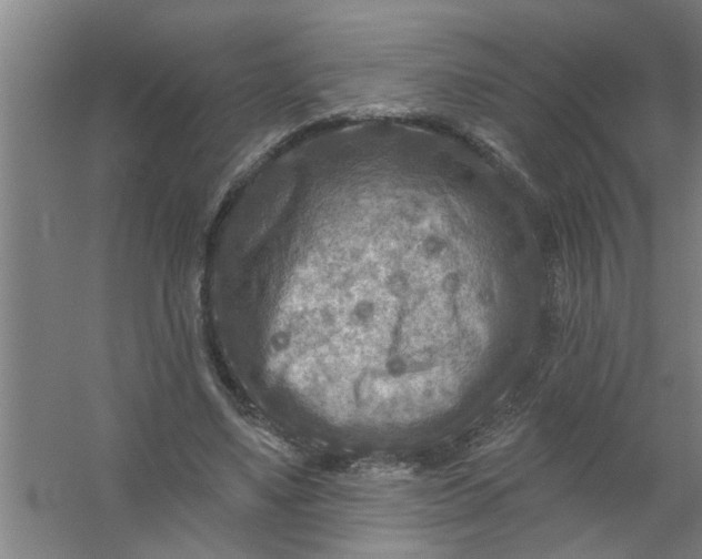 X0000059840491200511041817