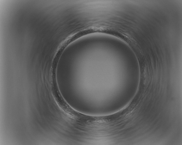 X0000059840492200511041817