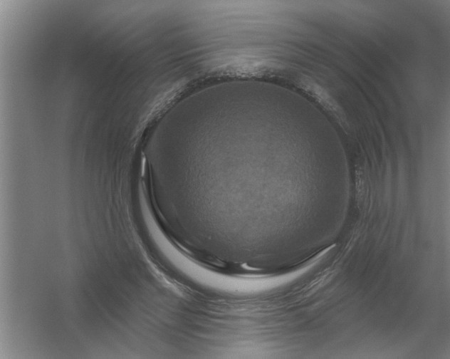 X0000059840493200511041817