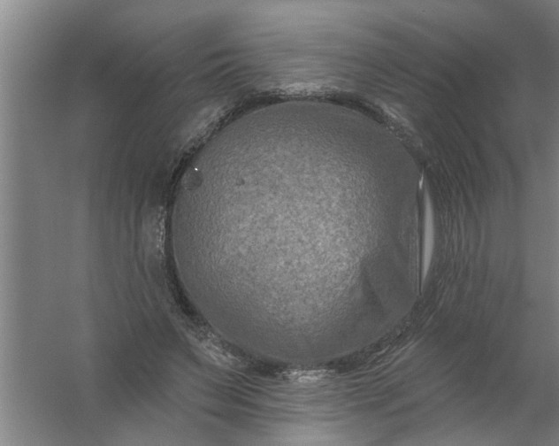 X0000059840495200511041817