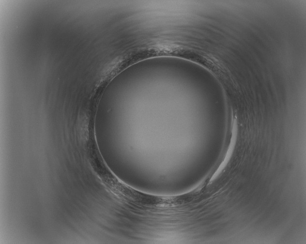 X0000059840496200511041817