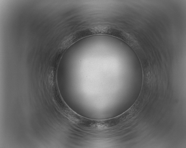 X0000059840498200511041817