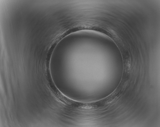 X0000059840500200511041817