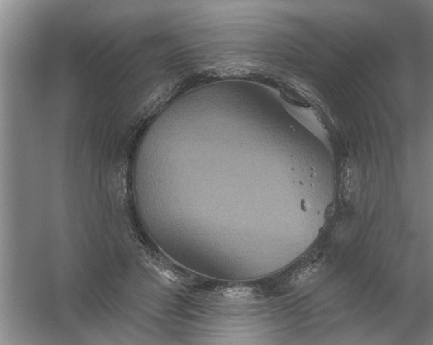 X0000059840501200511041817