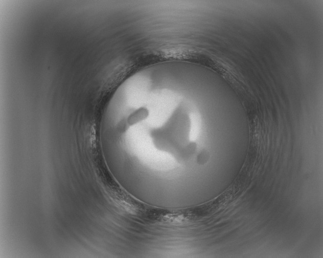 X0000059840502200511041817