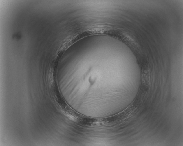 X0000059840504200511041817