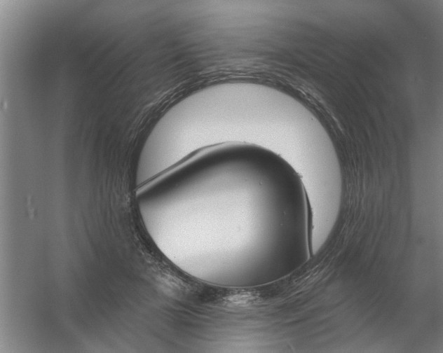 X0000059840505200511041817