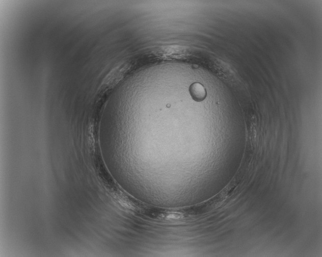 X0000059840506200511041817