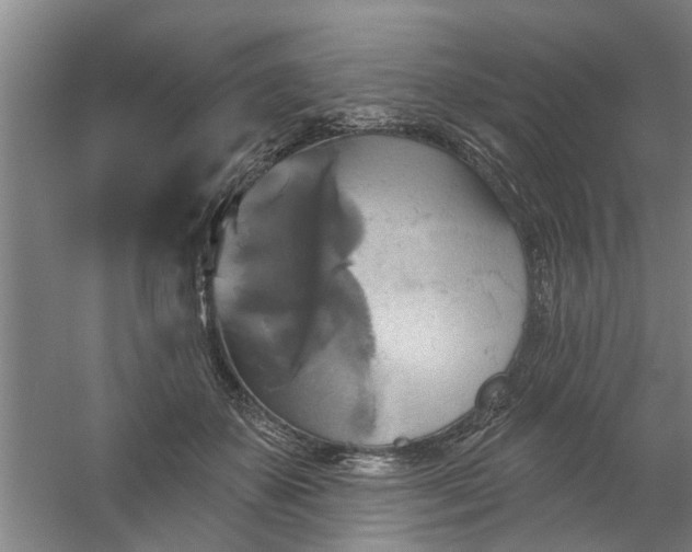 X0000059840507200511041817