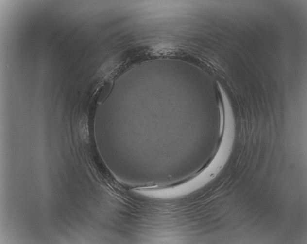 X0000059840508200511041817