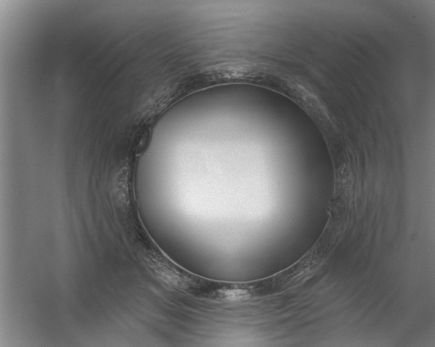 X0000059840509200511041817