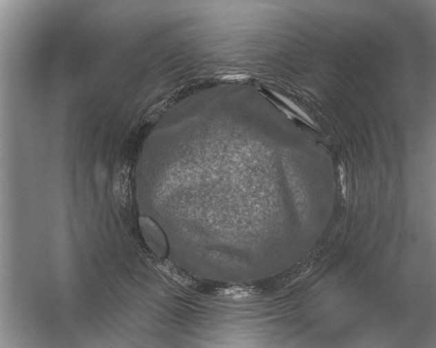 X0000059840511200511041817