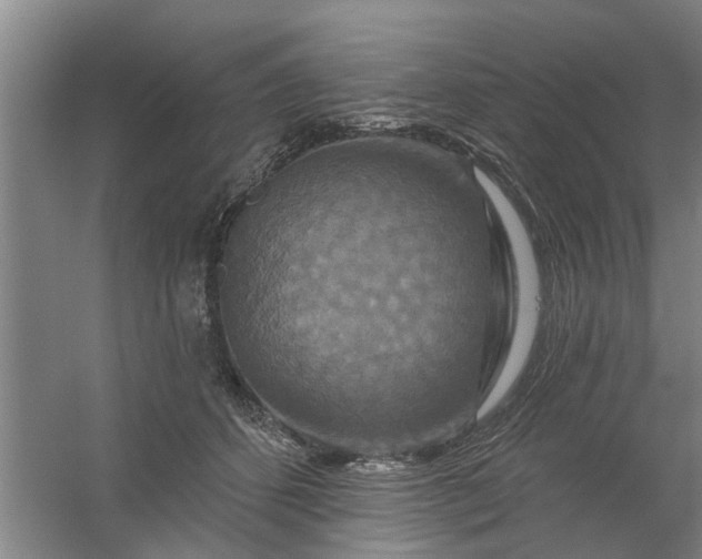 X0000059840512200511041817