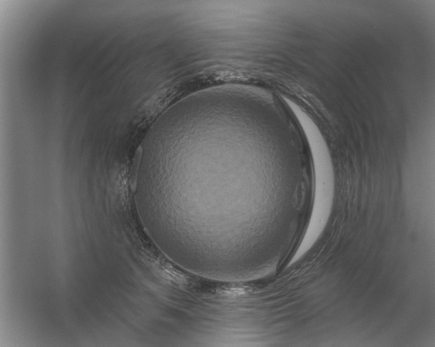 X0000059840513200511041817