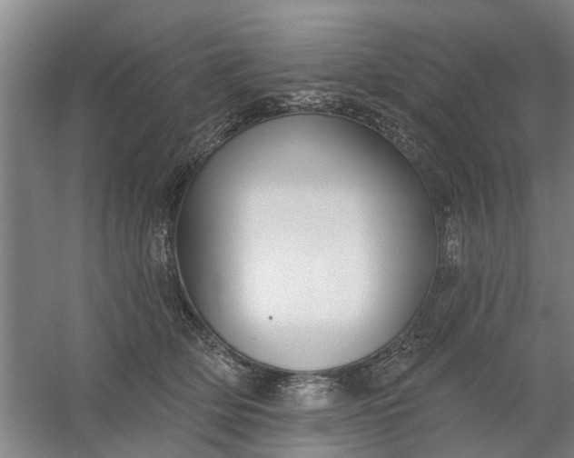 X0000059840514200511041817