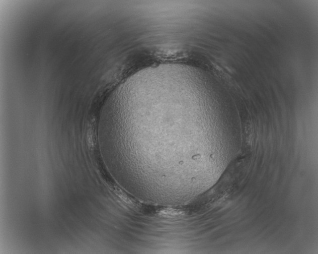 X0000059840515200511041817