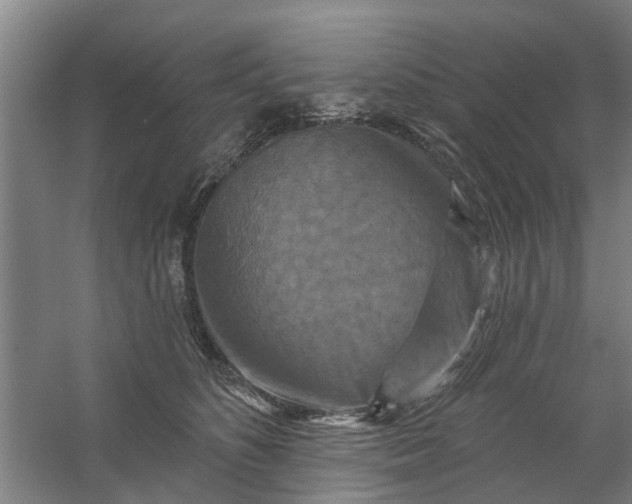 X0000059840516200511041816