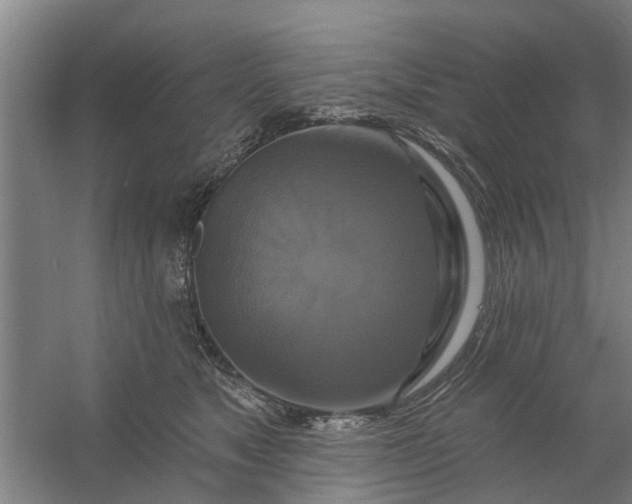 X0000059840517200511041816