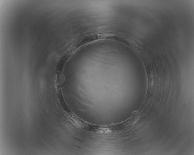 X0000059840519200511041816