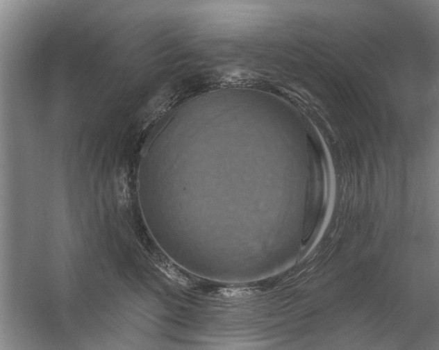 X0000059840520200511041816