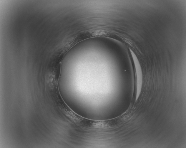 X0000059840521200511041816