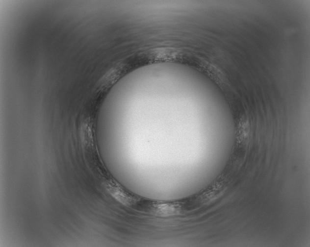 X0000059840522200511041816