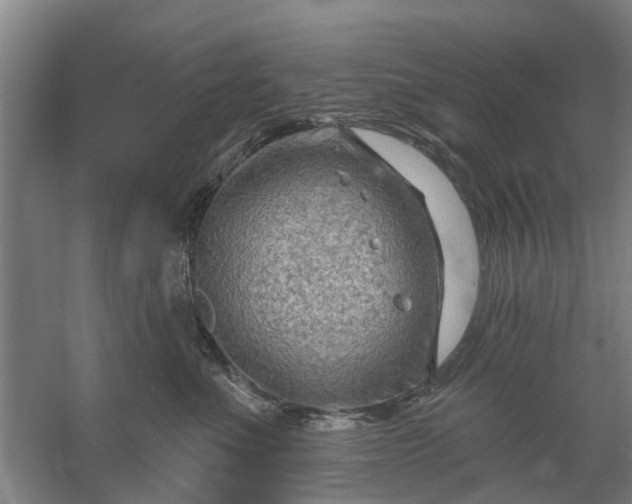 X0000059840523200511041816