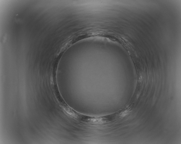 X0000059840524200511041816