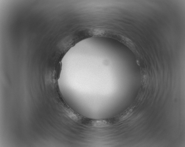 X0000059840525200511041816