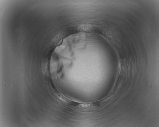 X0000059840526200511041816