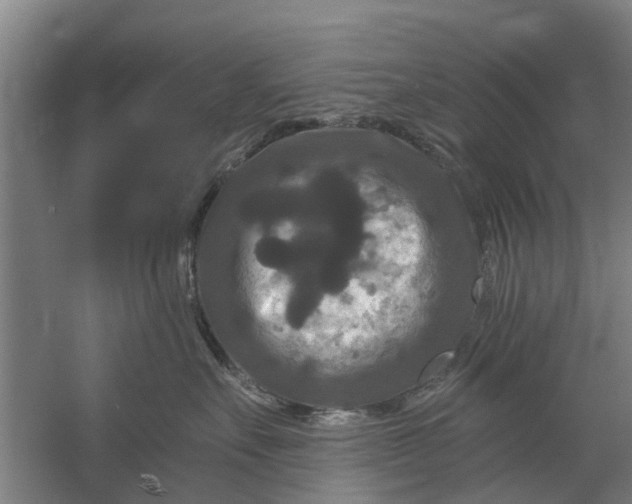 X0000059840527200511041816