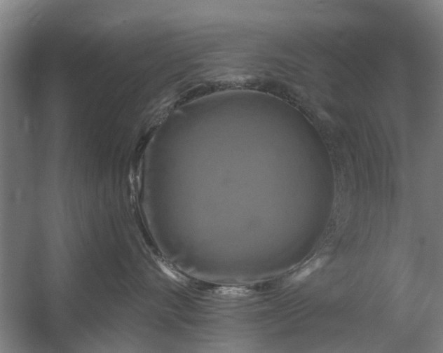 X0000059840528200511041816